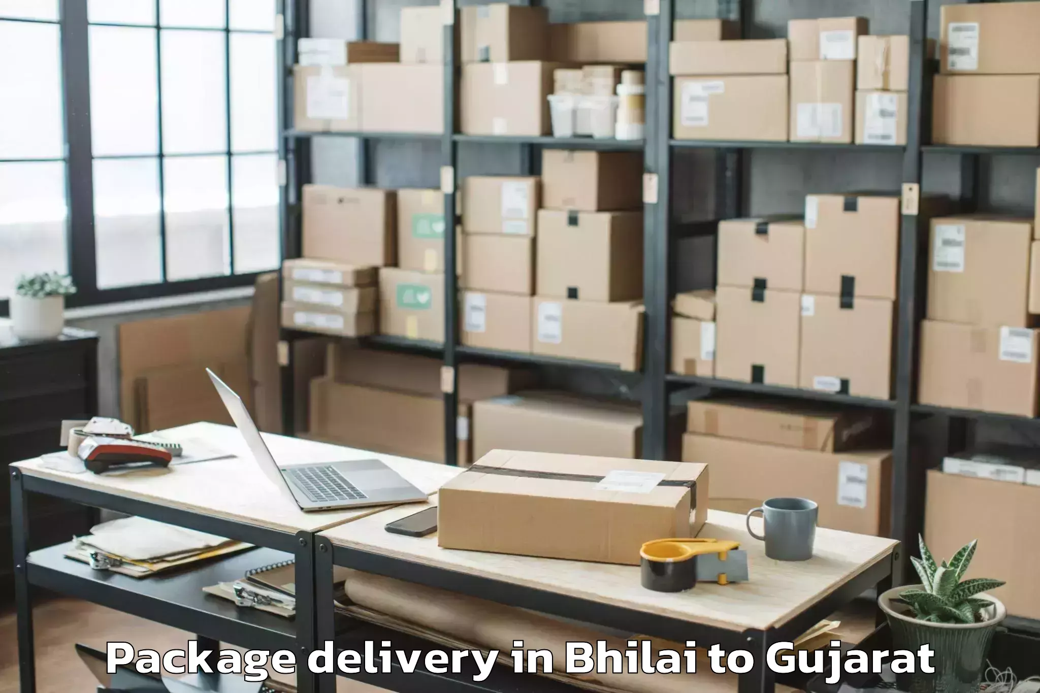 Trusted Bhilai to Sayla Package Delivery